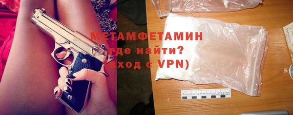 индика Новозыбков