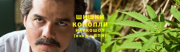 дмт Нея