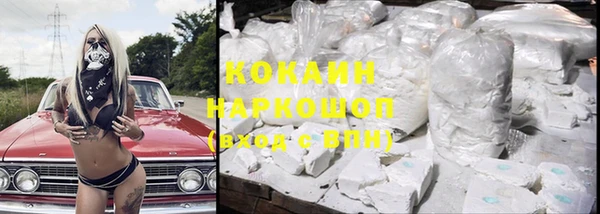 индика Новозыбков
